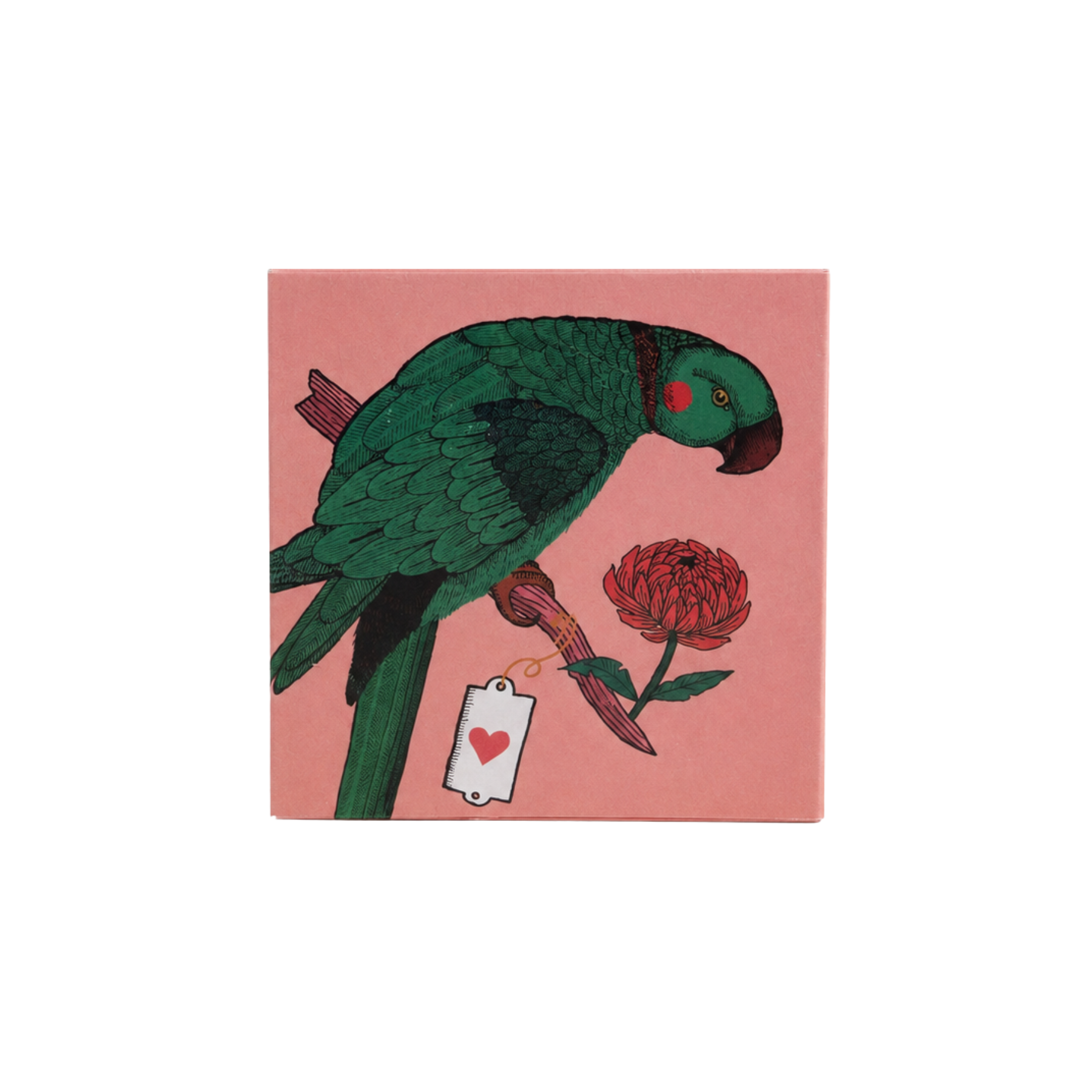 Parrot Matches