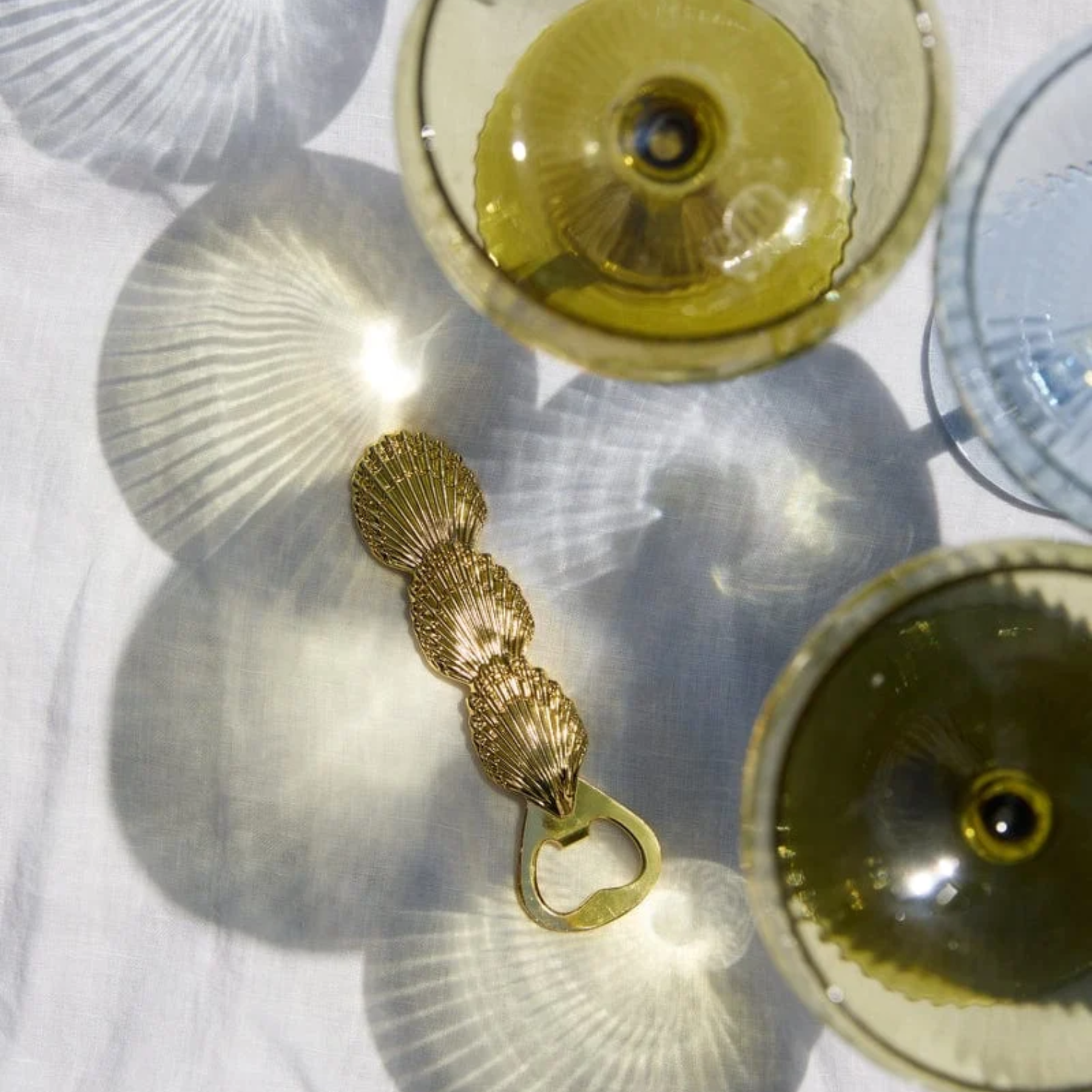 The Theo Shell Bottle Opener